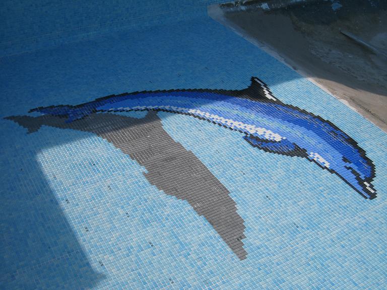 dauphin piscine