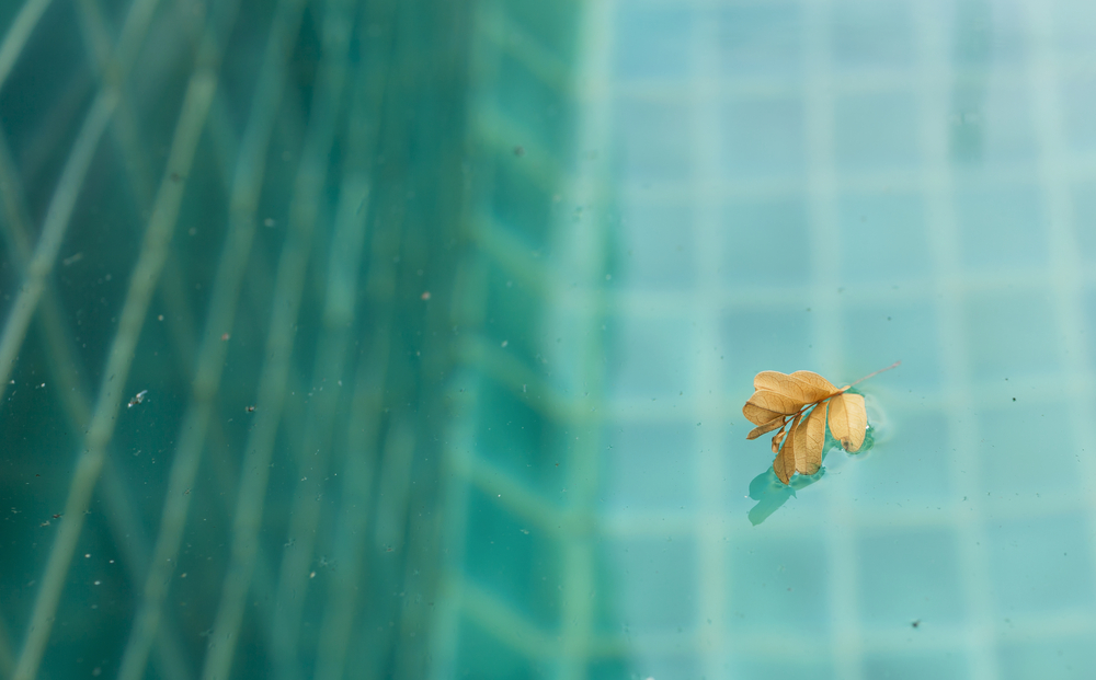 Piscine avec un taux de nitrate élevé