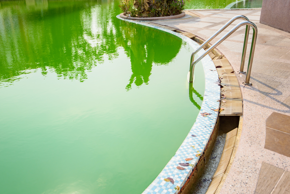 Agua piscina verde