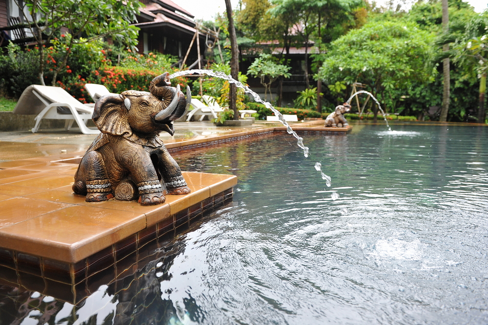 piscine naturelle