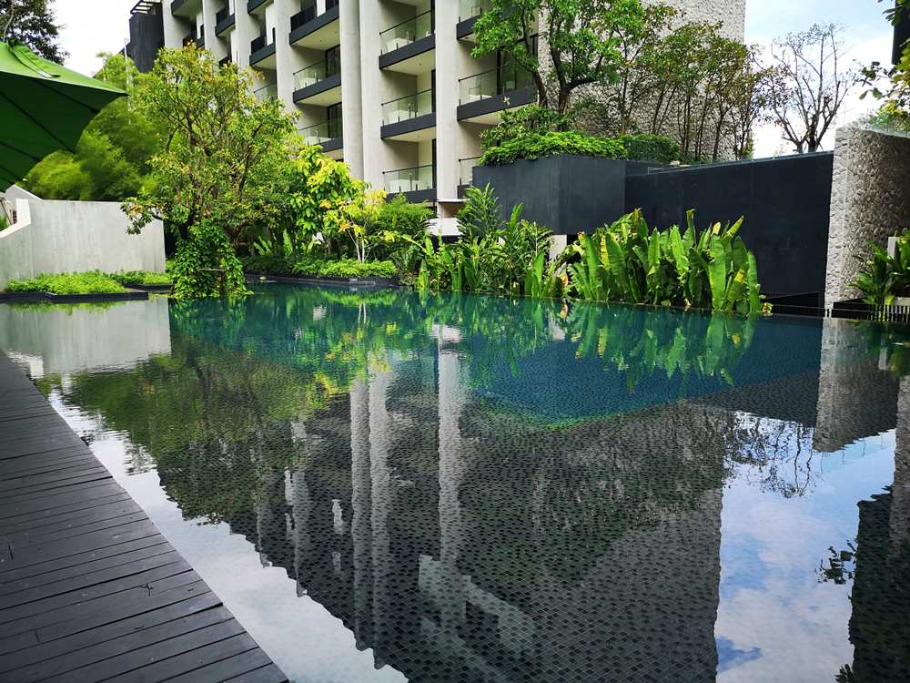 Traitement piscine naturelle