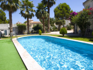 Piscine avec plantes