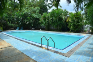 Piscine au fond exotique