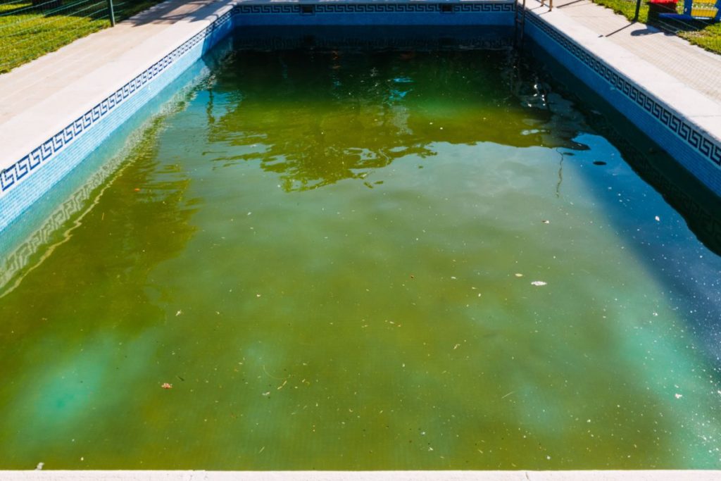 Bicarbonate Produit Miracle Eau Verte Piscine www.construire-sa-piscine.com